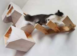 coolforcatsuk.com Catissa