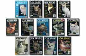 fotografics.it Catworld