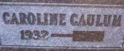 rootsweb.ancestry.com Caulum