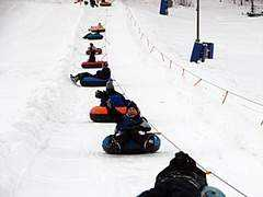 mccoy.army.mil Caulum