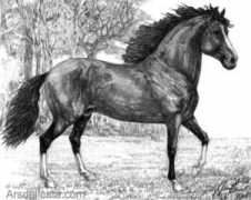 arsdelicata.com Cautino