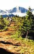 coloradotrail.org Cazer