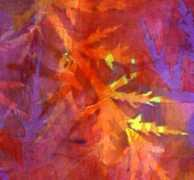 colorquilts.com Cdet