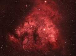 starrywonders.com Cederblad