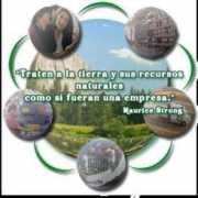 celale.org Celale