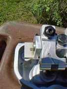 wmsbrg.com Celedinas