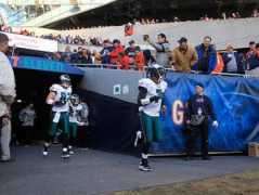 Celek