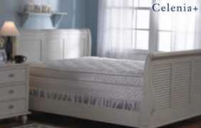 mattresstraditions.com Celenia