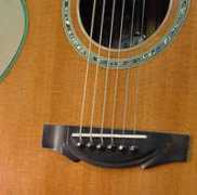 everettguitars.com Celona