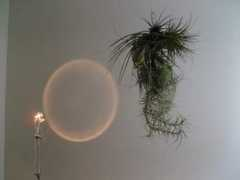 pietmondriaan.com Cerith