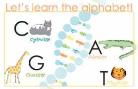 Cgat