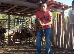 emater.pi.gov.br Chaguinha