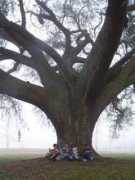 chaires.leon.k12.fl.us Chaires