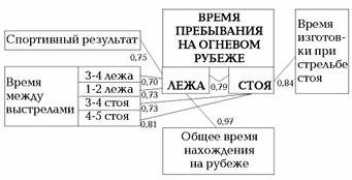 lib.sportedu.ru Chalaev