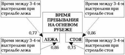 lib.sportedu.ru Chalaev