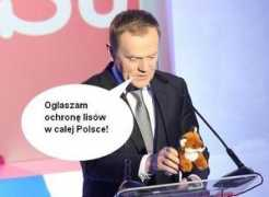 naszeblogi.pl Chamach