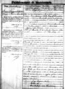 cosenzaexchange.com Chamano