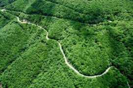 auto.tsn.ua Chanadiri