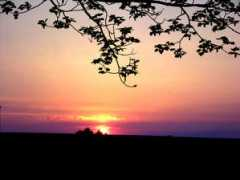 francopolis.net Chanly