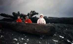 westportwa.com Chantele