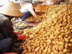 tinmoi.vn Chanthay