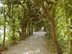 andre.benes.perso.sfr.fr Charmille