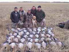 goosemaster.com Checknita