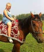 Chelysheva