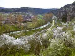 vagabond.bg Cherven