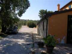 Chesanova