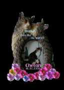 hexeskatzen.de Chetans