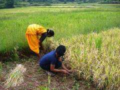 goindia.about.com Chhotaram