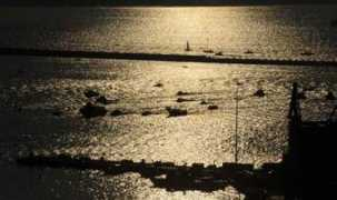 Chiazza