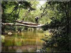 africa-tour.de Chidura