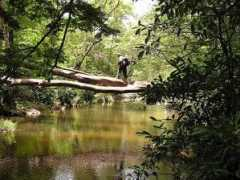africa-tour.de Chidura