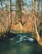 genealogie.bristiel.free.fr Chiers