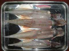 chukai.ne.jp Chikumi