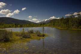 fotonatura.org Chilena