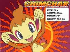 Chimchar