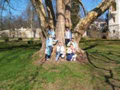 sk.srichinmoycentre.org Chinmoya