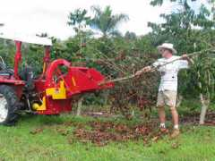 konaearth.com Chipping