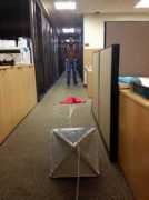 vedphoto.com Chirayath