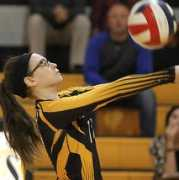 dddnews.com Chitester