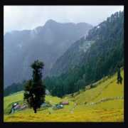 indiastudychannel.com Chopta