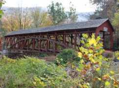 dalejtravis.com Chorazy