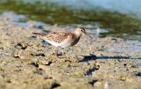 kentos.org.uk Chrisbond