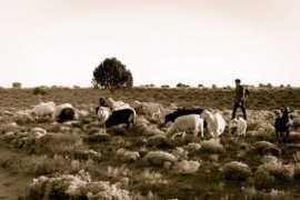 supportblackmesa.org Christiance