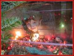 photoforum.ru Christmass