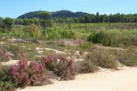 panoramio.com Christopherus