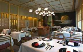 telegraph.co.uk Chrysan